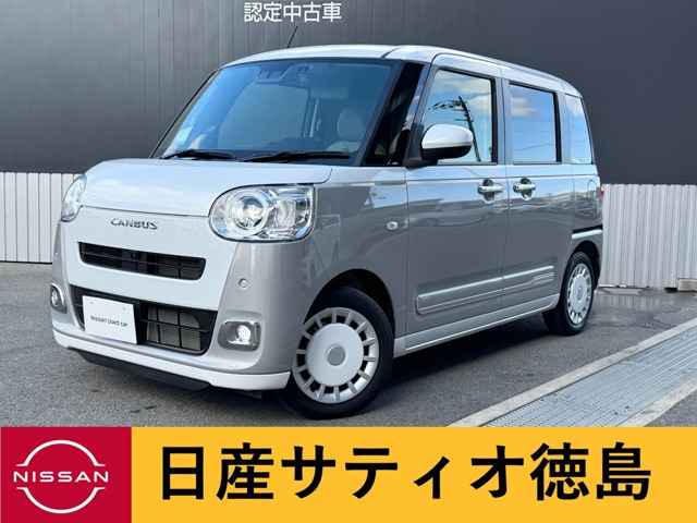 ムーヴキャンバス  ストライプス G