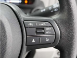 【アダプティブクルーズコントロール】予め設定した車速内でクルマが自動的に加減速。前走車との適切な車間距離を維持しながら追従走行します。【LKAS】車線維持支援システムでステアリング操作を支援。
