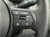 【アダプティブクルーズコントロール】予め設定した車速内でクルマが自動的に加減速。前走車との適切な車間距離を維持しながら追従走行します。【LKAS】車線維持支援システムでステアリング操作を支援。