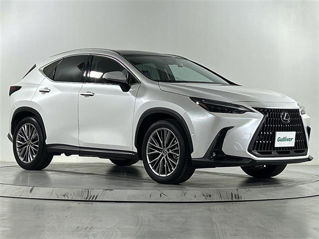 NX 350h バージョンL 本革シート サンルーフ（6AA-AAZH20）