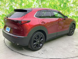 CX-30 2.0 20S ブラックトーンエディション 