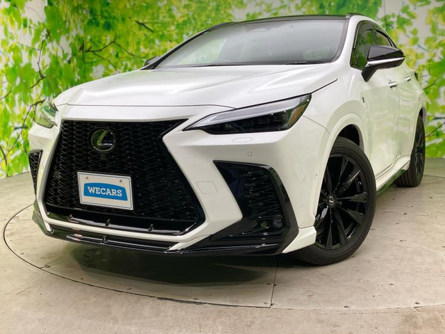 NX350h Fスポーツ