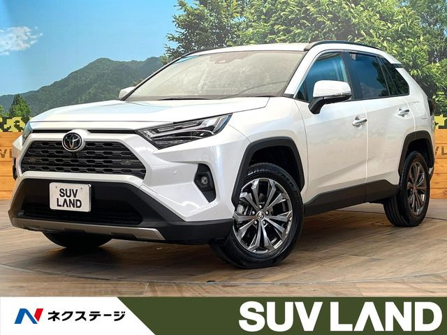 RAV4 2.5 ハイブリッド G E-Four 4WD （6AA-AXAH54）