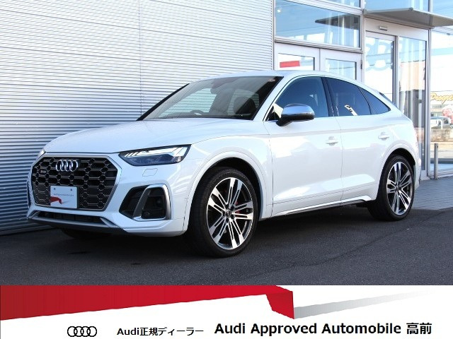 SQ5スポーツバック3.0 4WD