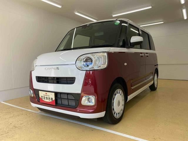 ムーヴキャンバス  ストライプス G