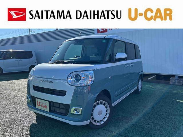 ムーヴキャンバス  ストライプス G