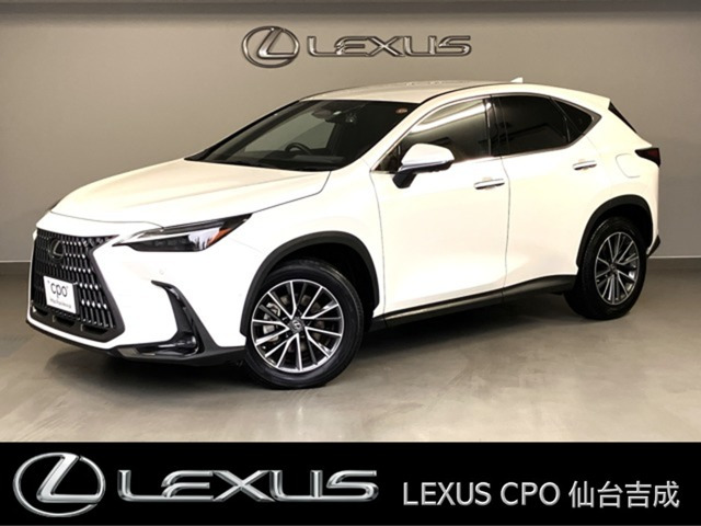 NX 350h バージョンL （6AA-AAZH20）