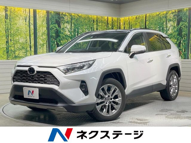 RAV4 2.0 G Zパッケージ 4WD （6BA-MXAA54）