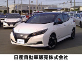 電気自動車 リーフ e+X  62Kwh プロパイロット 抗菌ヒーターシート 12フルセグメント 入荷しました
