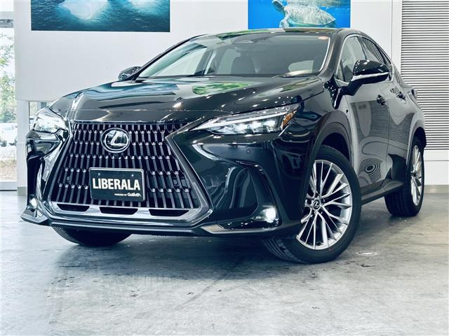 NX250 バージョンL本革シート サンルーフ