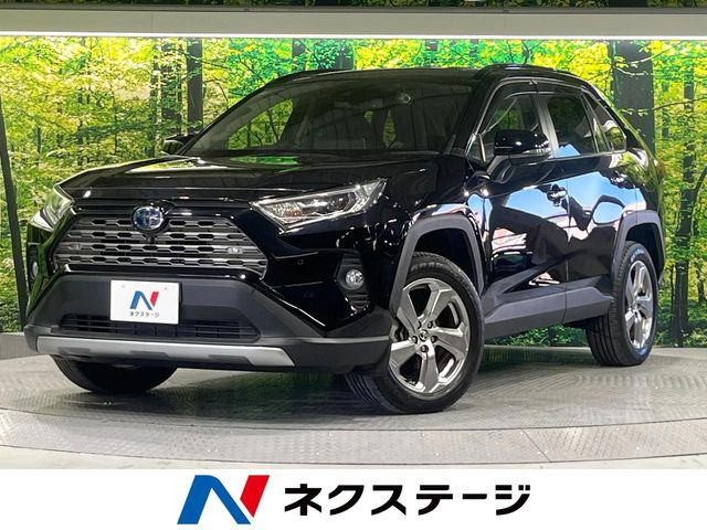 RAV4 2.5 ハイブリッド G E-Four 4WD （6AA-AXAH54）