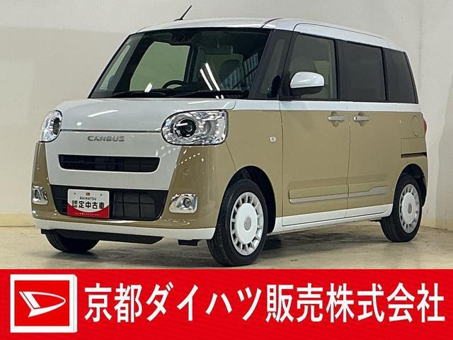 ムーヴキャンバス  ストライプス G