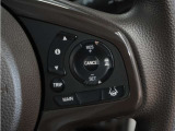 【アダプティブクルーズコントロール】予め設定した車速内でクルマが自動的に加減速。前走車との適切な車間距離を維持しながら追従走行します。【LKAS】車線維持支援システムでステアリング操作を支援。