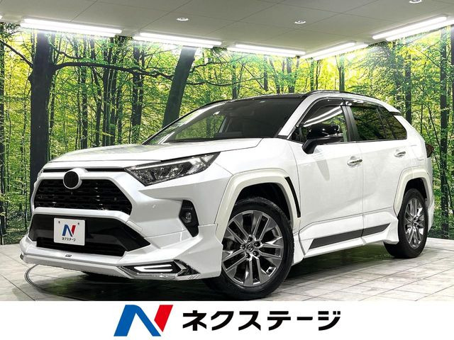 RAV42.0 G Zパッケージ 4WD