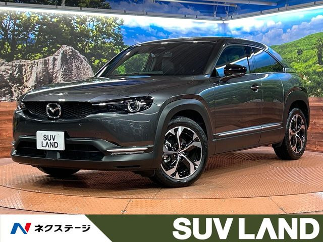 MX-302.0 ナチュラル モノトーン