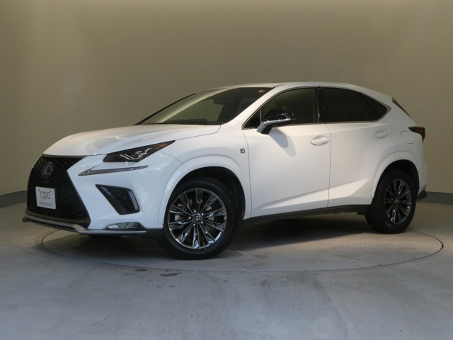 NX300クール&ブライト