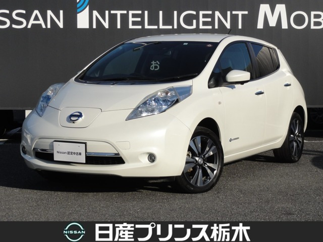 リーフ30kWh G サンクス エディション