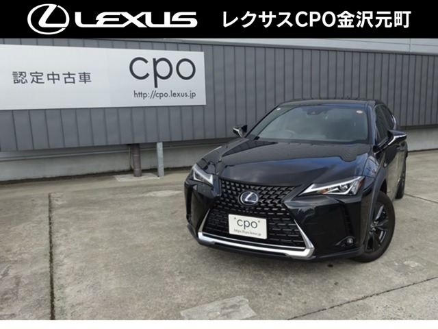 UX250h ブラウン エディション 4WD