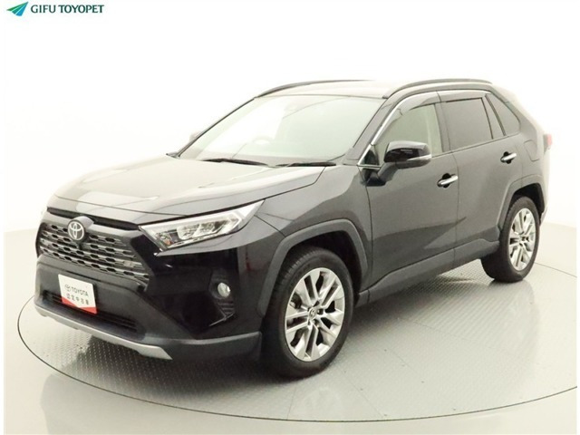 RAV4 2.0 G Zパッケージ 4WD（6BA-MXAA54）