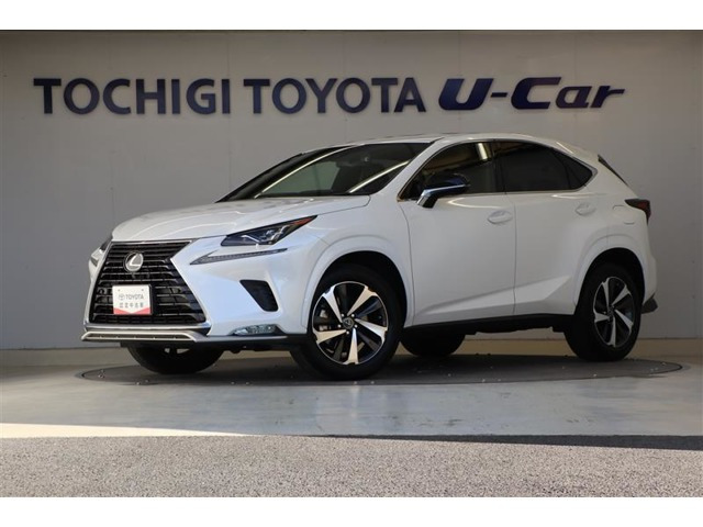 NX300スパイス&シック