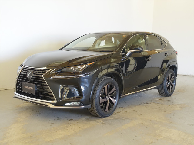 NX300 スパイス&シック