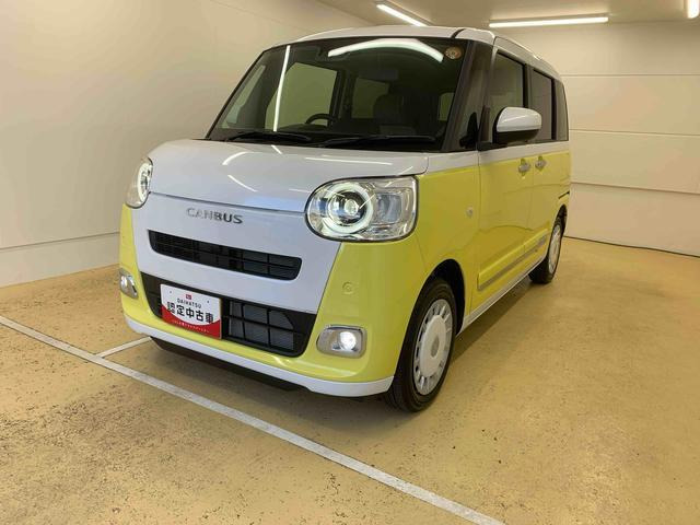 ムーヴキャンバス  ストライプス G