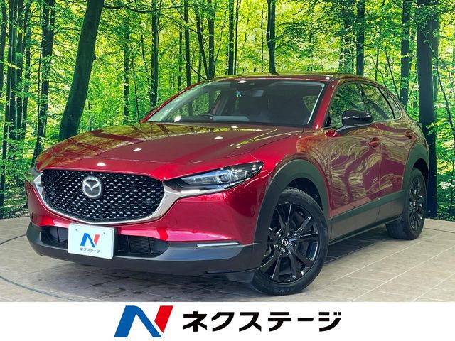 CX-302.0 20S ブラックトーンエディション