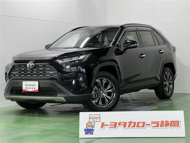 RAV4 2.5 ハイブリッド G E-Four 4WD （6AA-AXAH54）