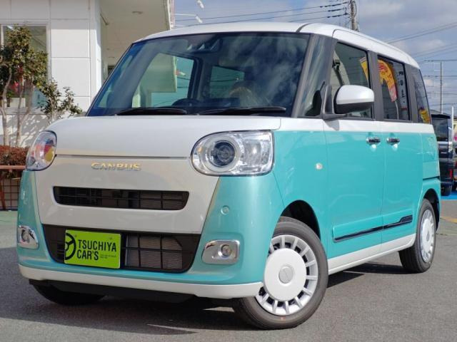 ムーヴキャンバス ストライプス G