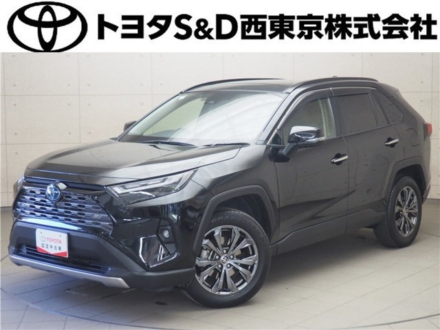RAV4 2.5 ハイブリッド G E-Four 4WD （6AA-AXAH54）