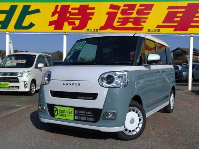 ムーヴキャンバスストライプス G