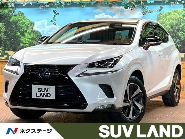 NX300h ブラック シークエンス