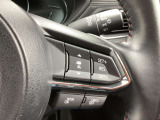 レーダークルーズコントロールを装備。アクセルやブレーキを操作しなくても、自動で先行車との車間距離を保ち追従走行できます。長距離や高速道路を運転する際に、ドライバーへの負担を軽減します。