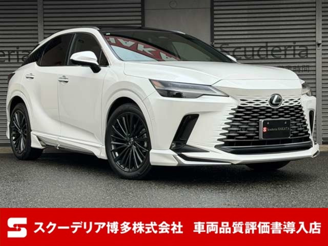 RX350 バージョンLモデリスタエアロ 輻射ヒーター
