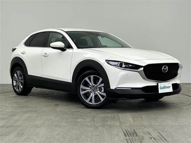 CX-301.8 XD プロアクティブ修復歴無し