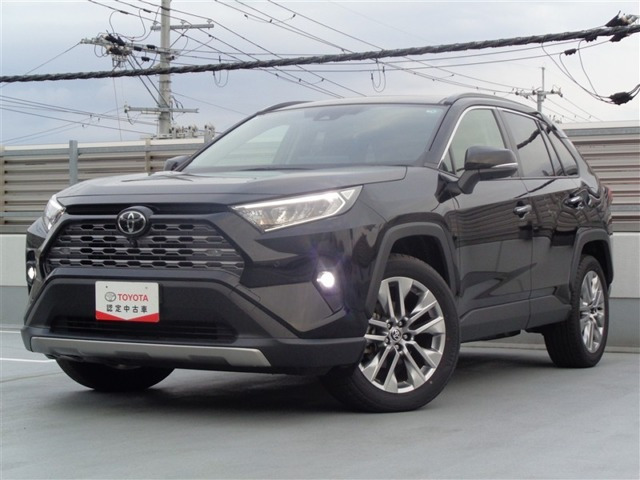 RAV4 2.0 G Zパッケージ 4WD（6BA-MXAA54）