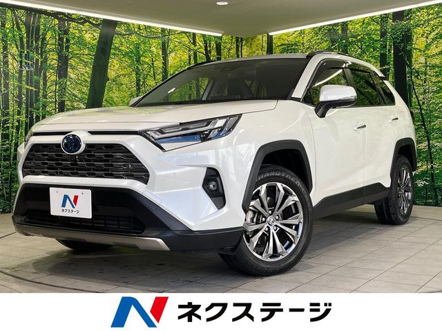 RAV4 2.5 ハイブリッド G E-Four 4WD （6AA-AXAH54）