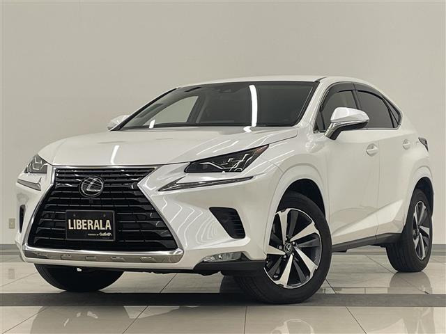 NX300 Iパッケージ修復歴無し