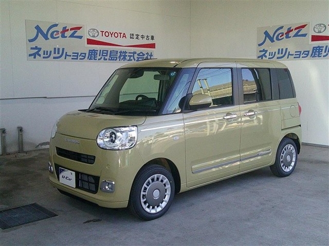 ムーヴキャンバス  セオリー G