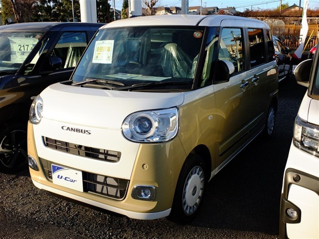 ムーヴキャンバス  ストライプス G