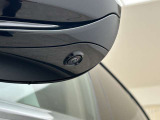 Mirror Caps - Gloss Black Painted/Blind Spot Monitoring