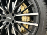Brake Calipers (CCB) - Gold Painted Caliper