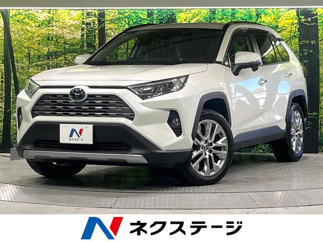 RAV4 2.0 G Zパッケージ 4WD （6BA-MXAA54）