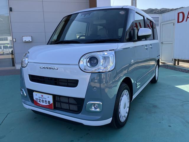 ムーヴキャンバス  ストライプス G