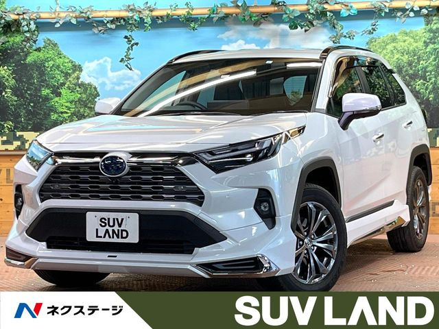 RAV4 2.5 ハイブリッド G E-Four 4WD （6AA-AXAH54）