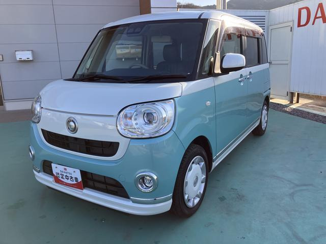 ムーヴキャンバス G メイクアップ リミテッド SAIII 