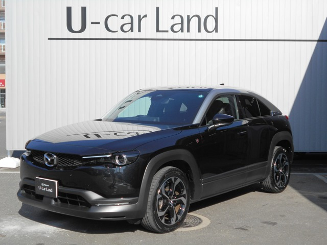 MX-30ロータリーEV ナチュラル モノトーン 