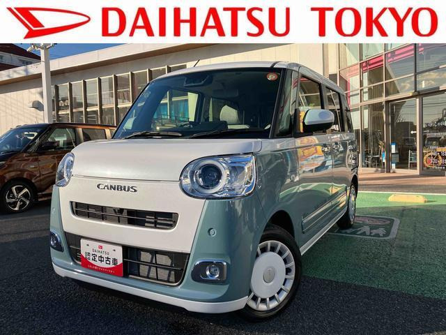 ムーヴキャンバス  ストライプス G