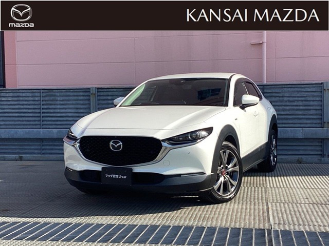 CX-301.8 XD 100周年特別記念車 4WD