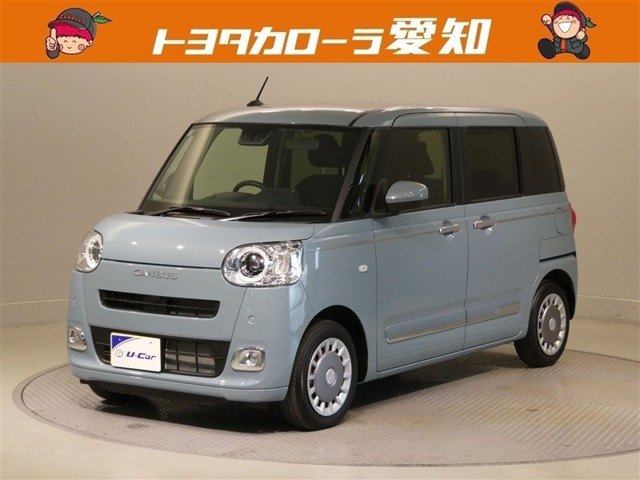 ムーヴキャンバス  セオリー G